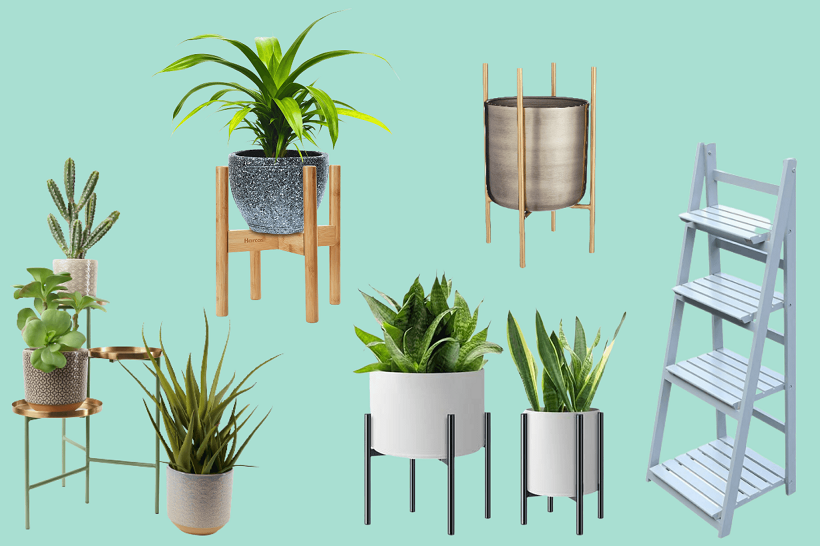 Bring Nature Indoors with Decorative Planters and Stands