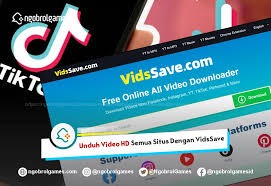 Fast MP4 Video Downloader for Everyday Use