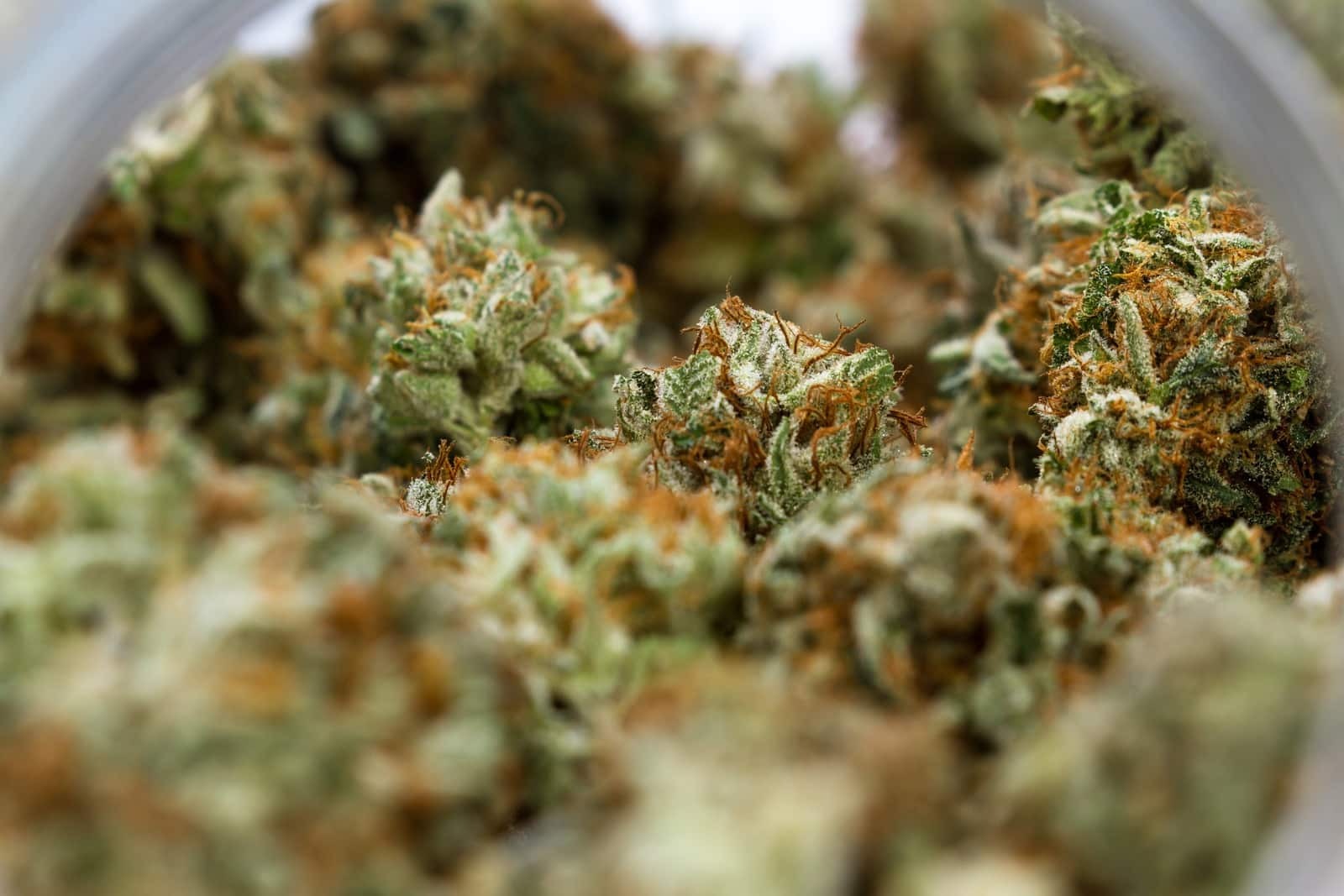 Find the Top-Rated best delta 8 flower 2026 Before You Buy
